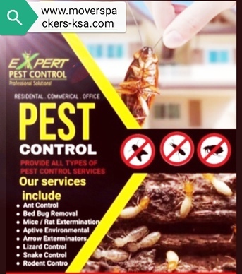 🚨PEST CONTROL⭐CLEANING  & RELOCATION SERVICES IN ALL KSA (0504 377 677) photo 1