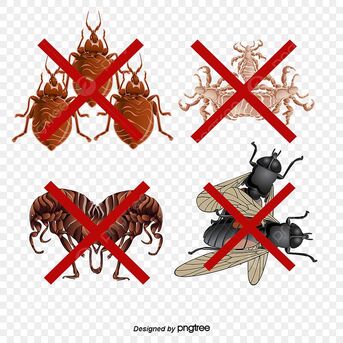 PAKISTANI🔶 Movers♤Packers♤Cleaners[]]Pest Control♤Total Solution@Best Price=0545514494)93 photo 1