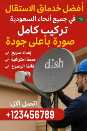 5 Star Dish Serivice For Desi