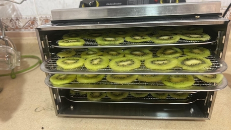 SAR 22,  Healthy Dehydrated Kiwi - Food / Snacks - Available photo 2