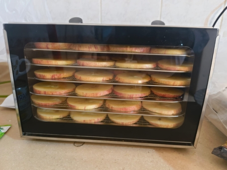 SAR 20,  Healthy Dehydrated Apples - Snack / Fruits - Available photo 2