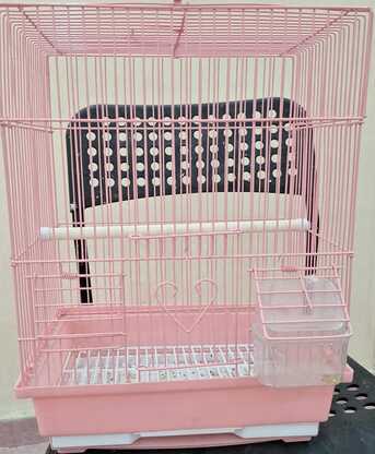SAR 195,  Bird Cages Along With Accessories & Bird Houses photo 3