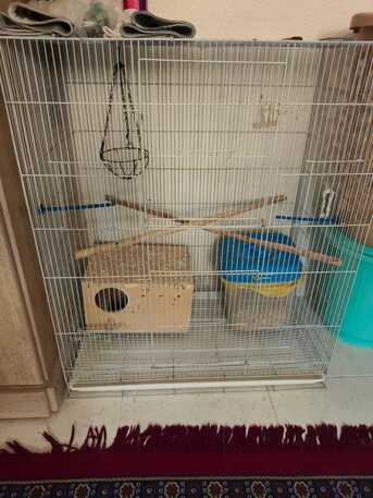 SAR 120,  Birds Cage Big Size photo 2