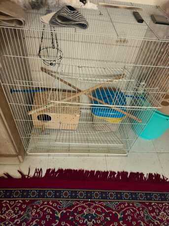 SAR 120,  Birds Cage Big Size photo 3