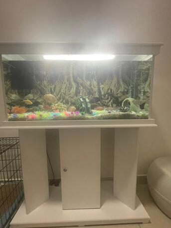 SAR 1500,  Aquarium To Sell