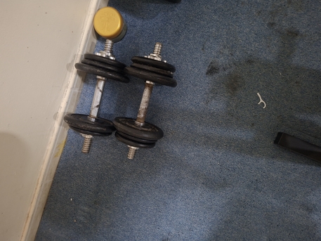SAR 210,  Bench Press photo 3
