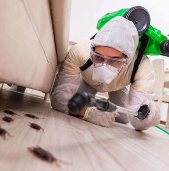 ✅✅✅ PEST CONTROL & HOME CLEANING - KHOBAR SAME DAY SERVICE ✅ 057 007 6842 ✅