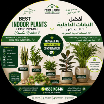 🌿 Professional Gardening Maintenance | Landscaping | Indoor Plants | Decorative Planters