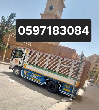 PROFESSIONAL MOVERS & PACKERS SHIFTING APARTMENT OFFICE VILLAS MOVING SERVICE 0597183084