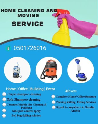 Pest Control Spray And Bed Bug's Killing Solution And Sofa Carpet Cleaner/02