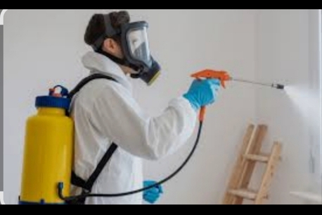 ³⁹✓ Professional And Trusted Pest Control Experts (6 Month Warranty) In RIYADH 0502841745 photo 1