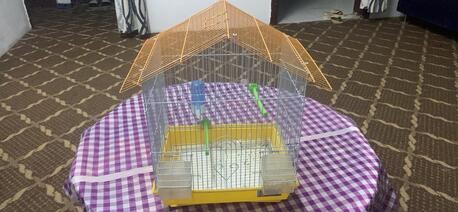 SAR 25,  Bird Cages photo 1