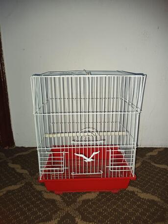 SAR 25,  Bird Cages photo 2