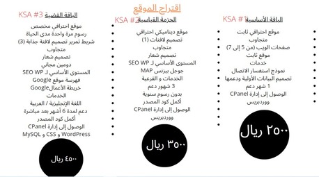 Professional Website, Profiles, Logo, For All Business photo 2