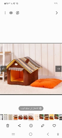 SAR 60,  Cat Home