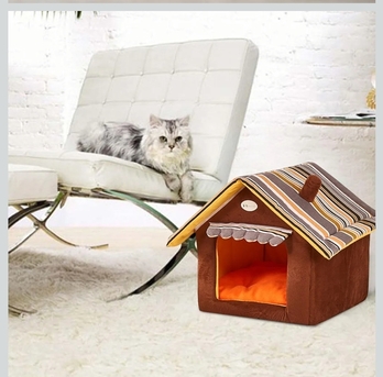 SAR 60,  Cat Home photo 2