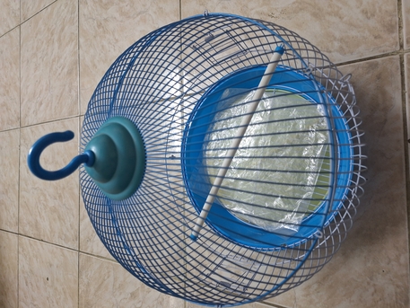 SAR 40,  Bird Cage photo 1