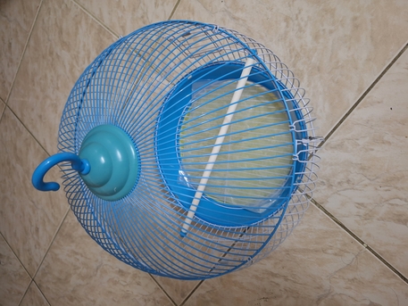 SAR 40,  Bird Cage photo 2