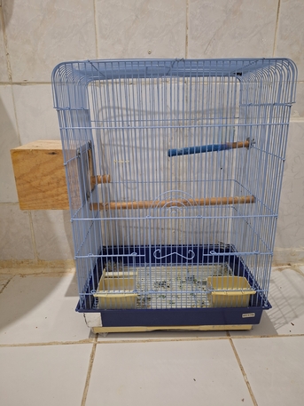 SAR 40,  Bird Cage photo 3