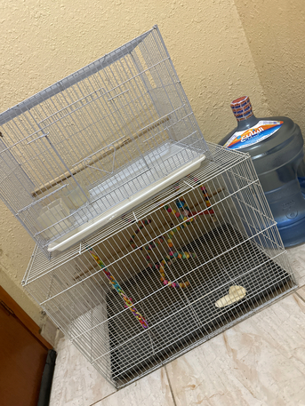 SAR 80,  Bird Cage photo 1