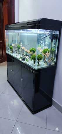 SAR 2500,  Fish Aquarium With Table photo 1