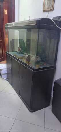 SAR 2500,  Fish Aquarium With Table photo 2