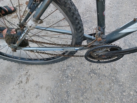 SAR 120,  Cycle photo 2