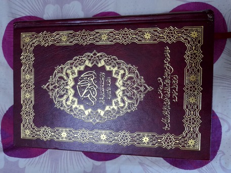SAR 30,  German Qura'n Meanings photo 1