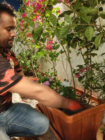 Gardener-professional Gardener Plants Trees Flowers Fruit Trees Vegetable Trees