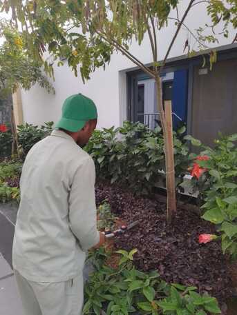 Gardener-professional Gardener Plants Trees Flowers Fruit Trees Vegetable Trees photo 3