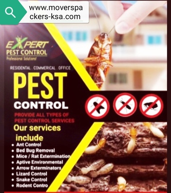 🚨PEST CONTROL⭐CLEANING  & RELOCATION SERVICES IN RIYADH🚨(0504 377 677) photo 1