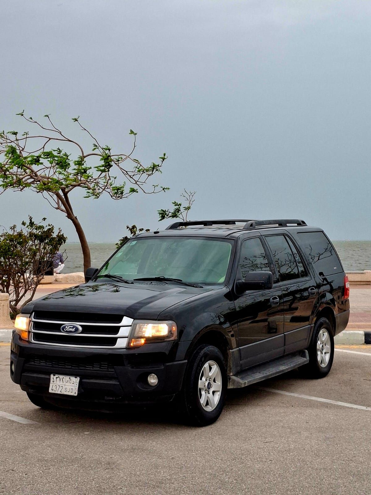 2016 Ford Expedition XL photo 1