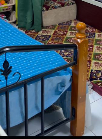 SAR 120,  Single Bed With Mattress photo 2
