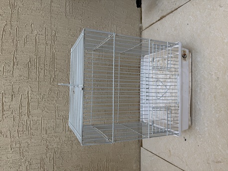 SAR 60,  Bird Cage For Sale photo 2