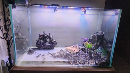 SAR 500,  Aquarium With Accessories And Auto Feeder photo 1