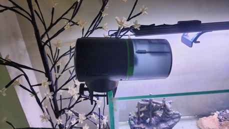 SAR 500,  Aquarium With Accessories And Auto Feeder photo 2