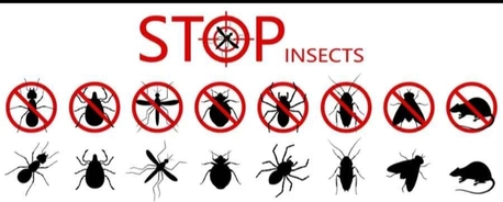 H516PEST CONTROL♥️SPRAYS♥️And BED BUGS♥️Solution With Guaranteed♥️0575282420 photo 1