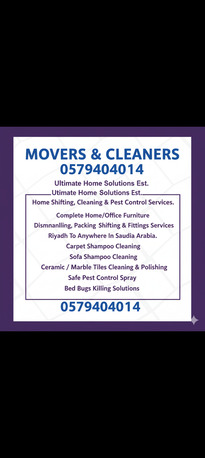 Sofa Carpet Cleaner And Pest Control Spray And Bed Bug's Killing Solution 151& photo 1