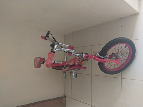SAR 150,  Bicycle photo 1
