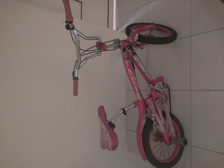 SAR 150,  Bicycle photo 2