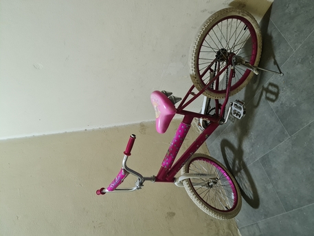 SAR 80,  2 Bicycles For Kids photo 2