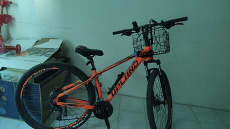 SAR 1700,  Upland Bicycle photo 1