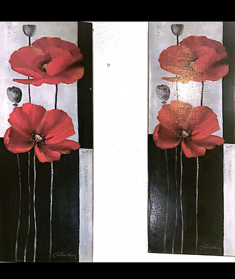 SAR 11,  Wall Frames photo 2