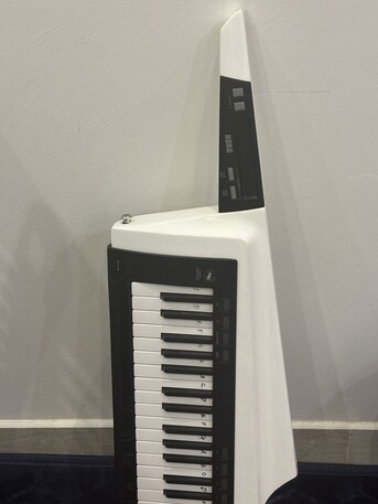 SAR 1400,  Korg RK‑100S 2 Original Price 2300 photo 2