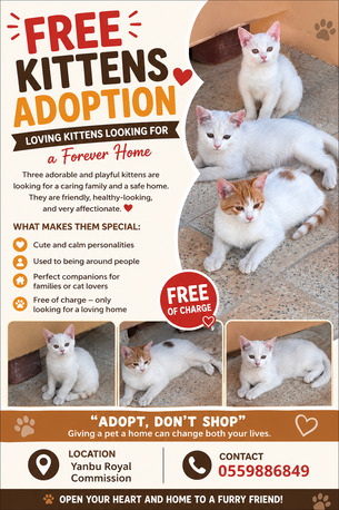 Three Lovely Cats For Free Sale photo 2