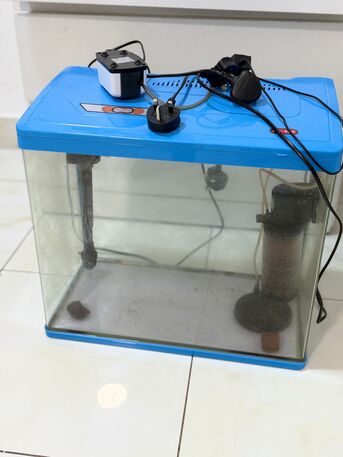 SAR 350,  Aquarium