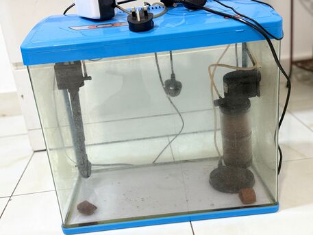 SAR 350,  Aquarium photo 2