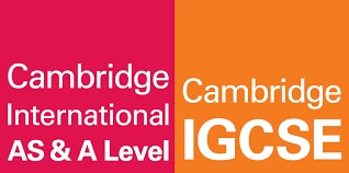“Smarter Learning. Higher Scores. Better Results – A & O Levels Simplified!” photo 2