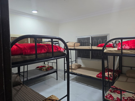 SAR 33,  Labor Accomodation With Food Catering With Transport Service photo 3