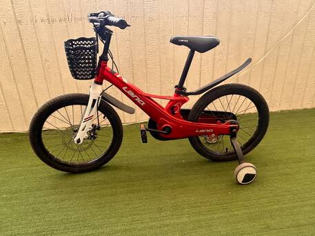 SAR 200,  Cycle 18 Inch photo 2